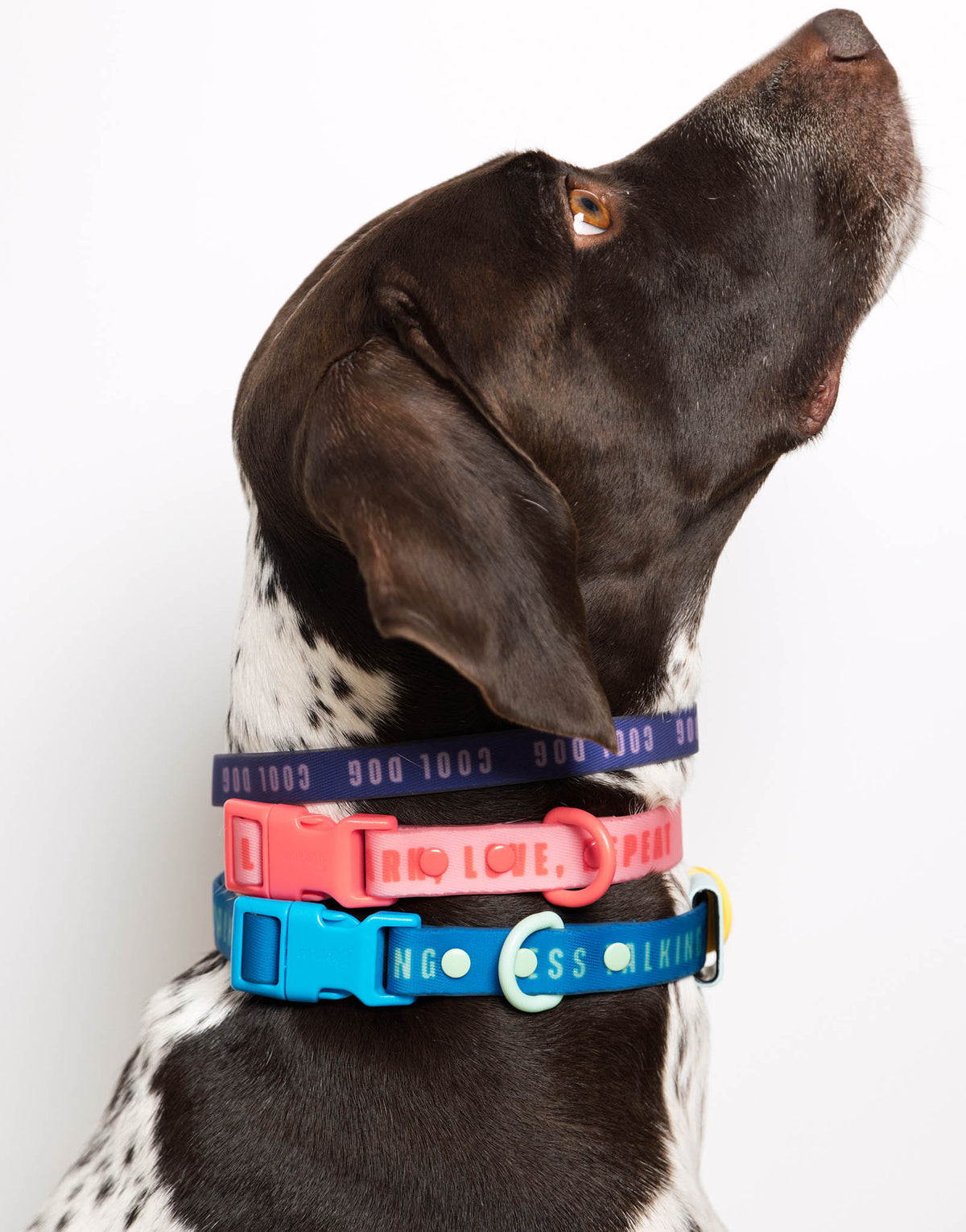 COLLAR CLEO