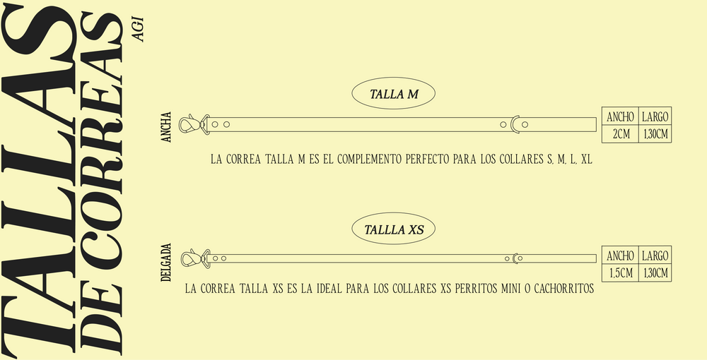 Guía de tallas CORREA AGI